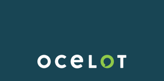 Ocelot, A Platform For Student Engagement, Receives $117 Million As Its First Outside Investment b2b